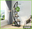 6-tier metal and wood plant stand with decorative plants and frames in a modern living room