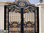 Decorative black and gold metal boundary gate with floral patterns for home entrance