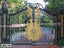 Ornate black and gold metal gate with decorative scrollwork for home or garden entrance