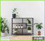Modern 5-shelf plant stand with potted indoor plants against a white wall