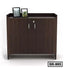 Modern dark wood shoe cabinet with double doors, lock, and framed photos on top