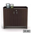 Simple Design Shoe Cabinet SR-995