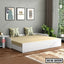 Modern white sofa cum bed with beige mattress and leaf print cushions in a bright living room