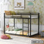 Low Height Bunk Bed for Bedroom | SBB-2313
