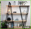 Modern wall shelves with books, home decor, plants, and stylish black metal frame.
