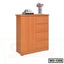 Modern wooden wardrobe with drawers, decorative vase and storage, perfect for home or office