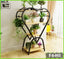 Heart-shaped metal plant stand with wooden shelves displaying potted indoor plants