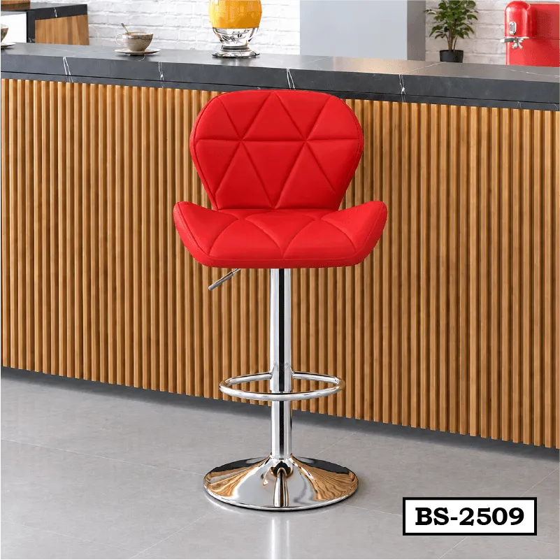 Best Stainless Steel Counter Chair for Office Price in BD BS-2509