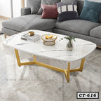 Modern Oval-Shaped Coffee Table CT-616