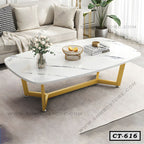 Modern Oval-Shaped Coffee Table CT-616