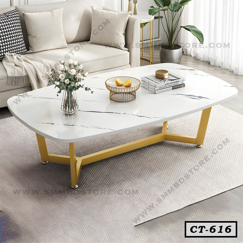Modern Oval-Shaped Coffee Table CT-616