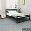 Modern double steel bed with white bedding in a bright bedroom with side table and indoor plant.