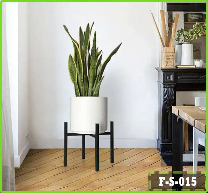 Modern flower stand with a white planter and tall green snake plant in a stylish living room.