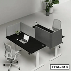 Height adjustable workstation desk with partition, two chairs, laptop, and indoor plants