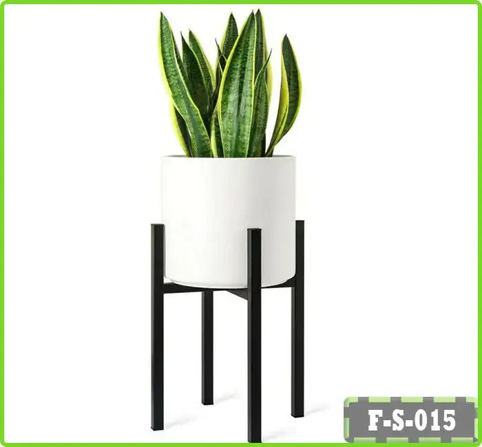 Metal flower stand with modern white planter and green snake plant, minimal design