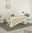 Modern office desk with light wood finish, laptop, lamp, chair and indoor plants in workspace