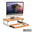 Laptop, Computer Monitor Stand with Sliding Keyboard MS-210-1