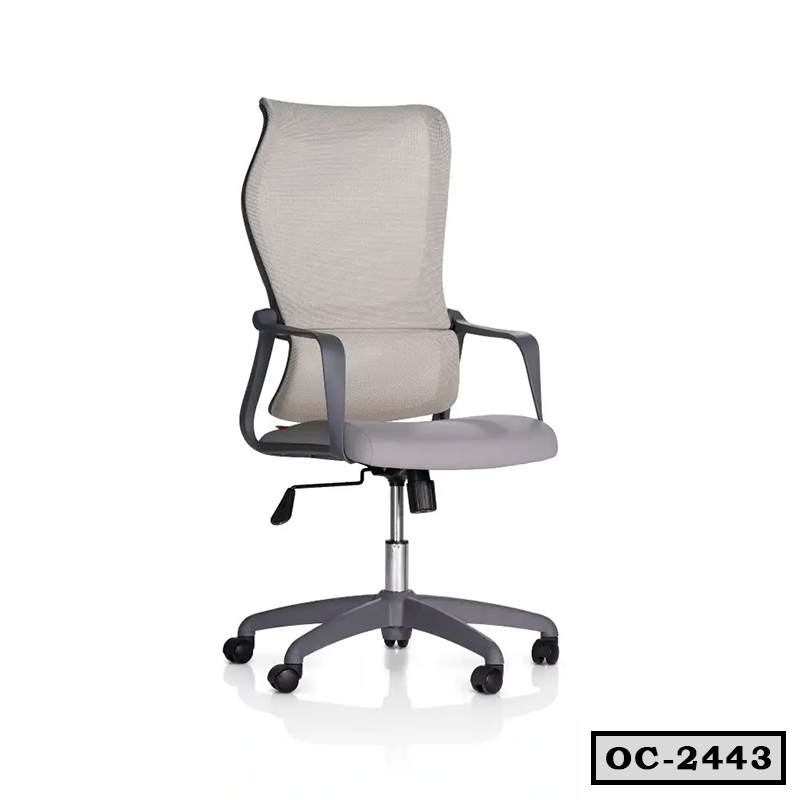 Elegant Mesh Back Office Chair OC-2443