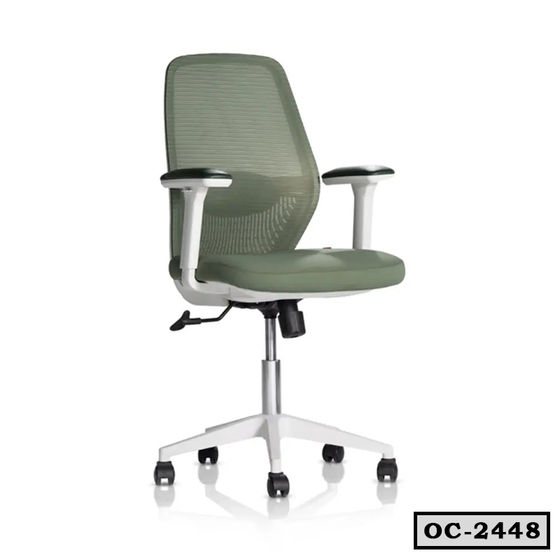 Ergonomic Mesh Chair OC-2448