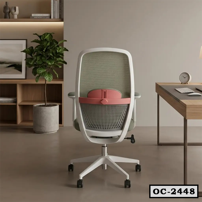 Ergonomic Mesh Chair OC-2448