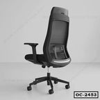 Ergonomic black mesh office chair with adjustable armrests and lumbar support, OC-2453