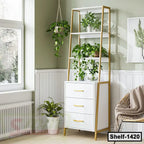 Modern white and gold standing shelf with houseplants, three drawers, beside a window in a cozy home interior.