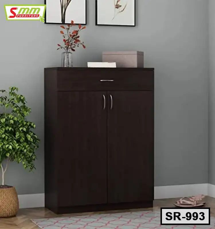 Modern dark wood shoe rack cabinet with two doors, drawer, and plants in a home interior