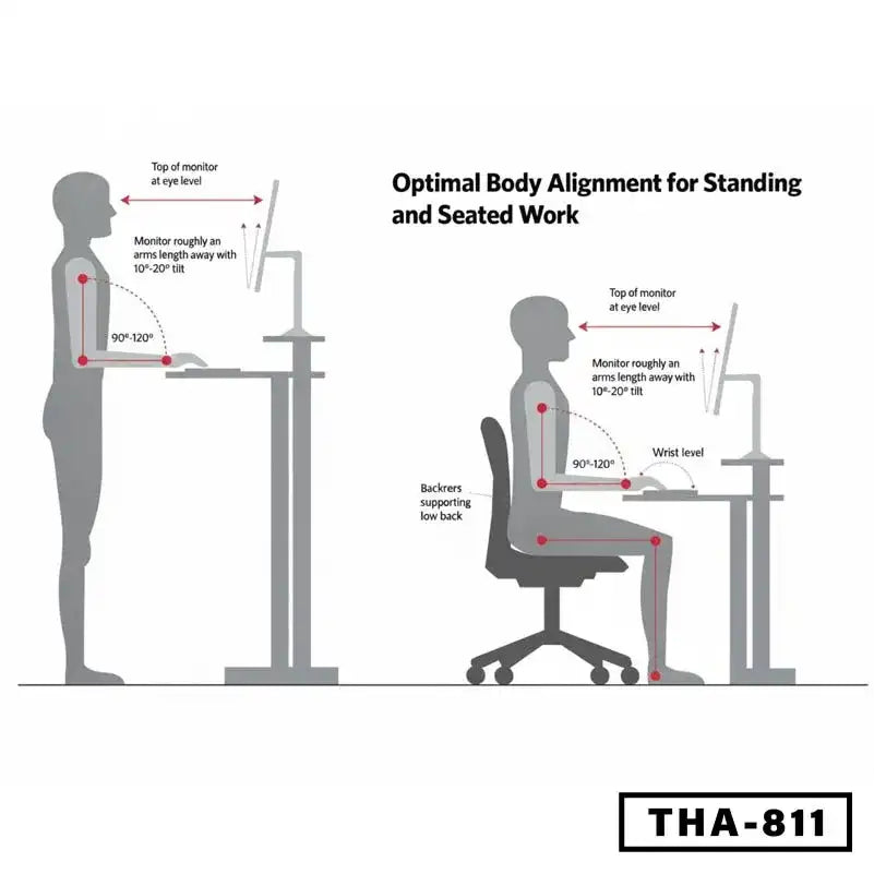 Diagram showing ergonomic standing and seated desk posture for computer work
