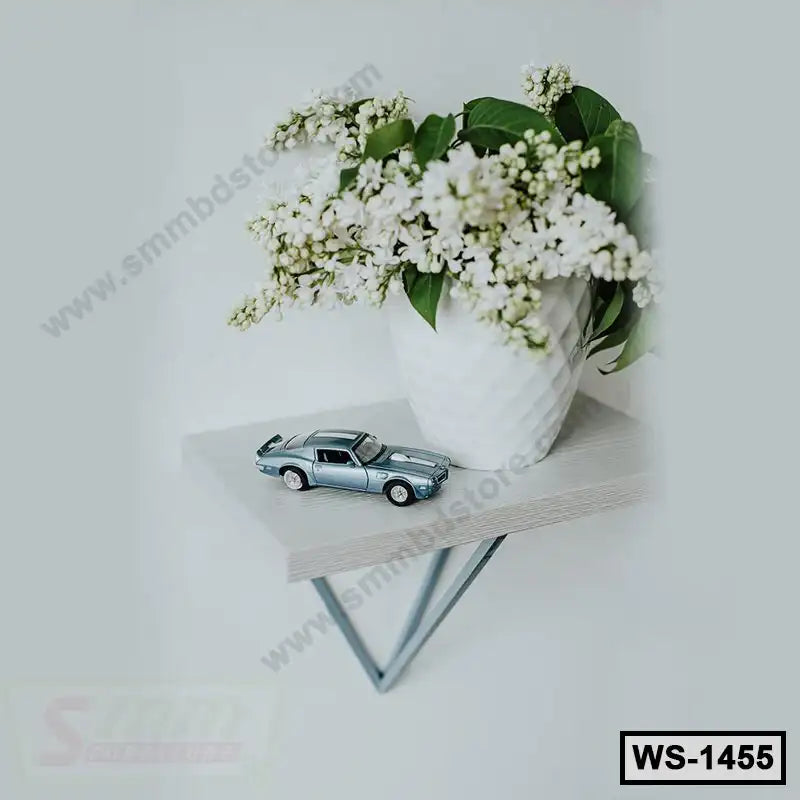 Modern wall shelf with white vase of flowers and model car for home or office decor
