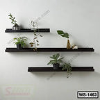 Modern wall-mounted floating shelves with black finish, decorated with potted plants.