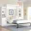 Modern white wall bed with shelving unit in a bright bedroom, folded down and ready for use.