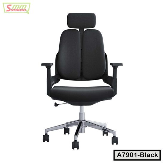Premium Ergonomic Office Chair With Headrest | A7901-Black
