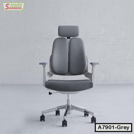 Premium Ergonomic Office Chair With Headrest | A7901-Grey